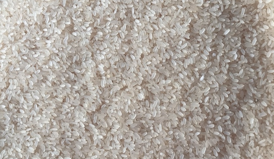 Swarna Parboiled Rice